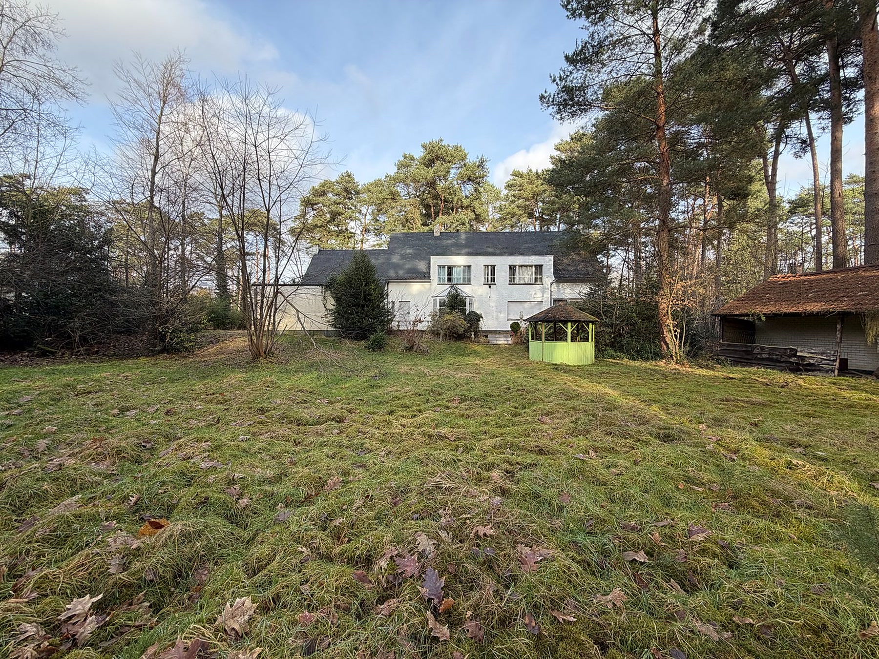 Achtertuin met prieel en bos