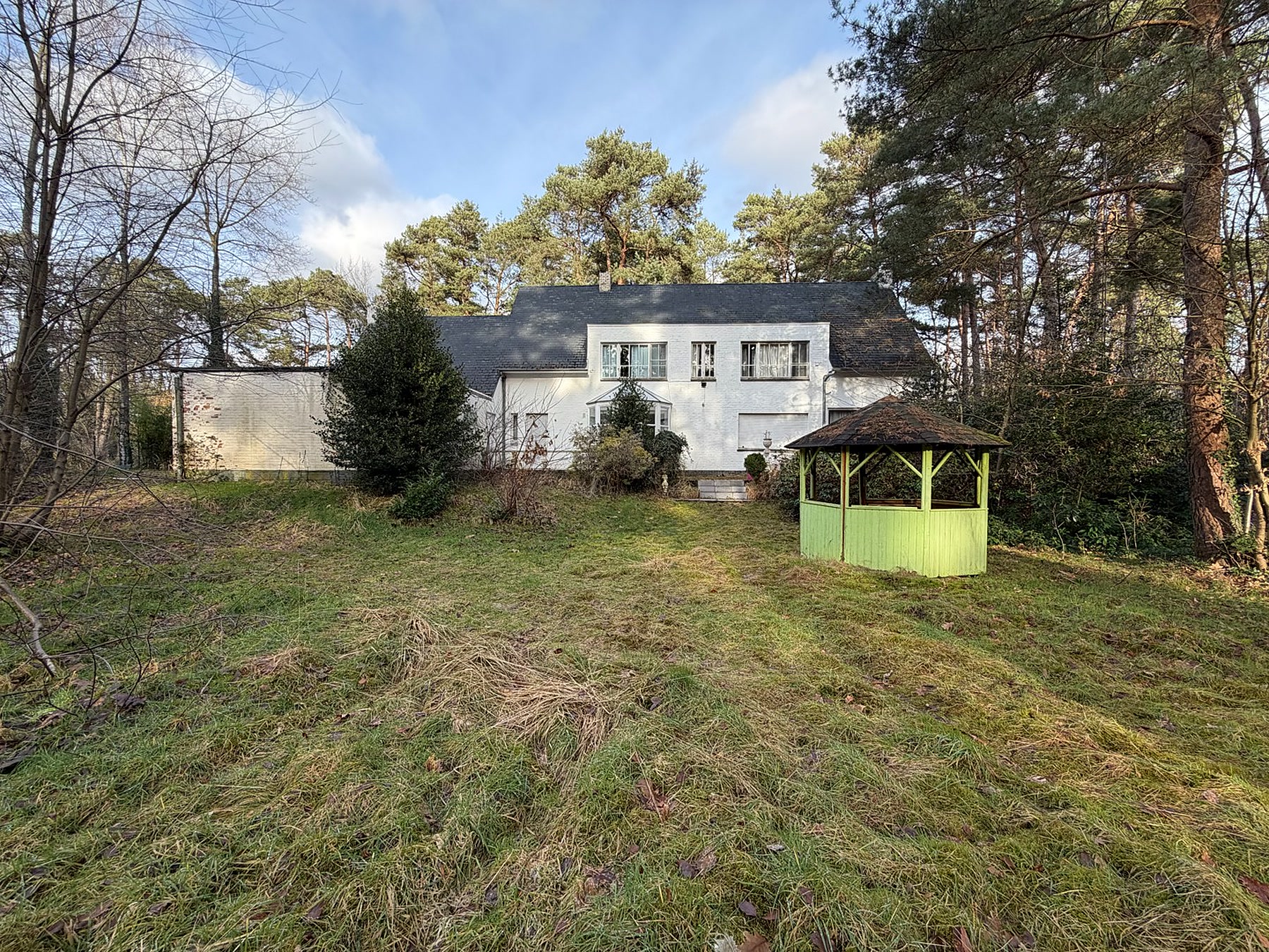 Achtertuin met prieel, omzoomd door hoge bomen