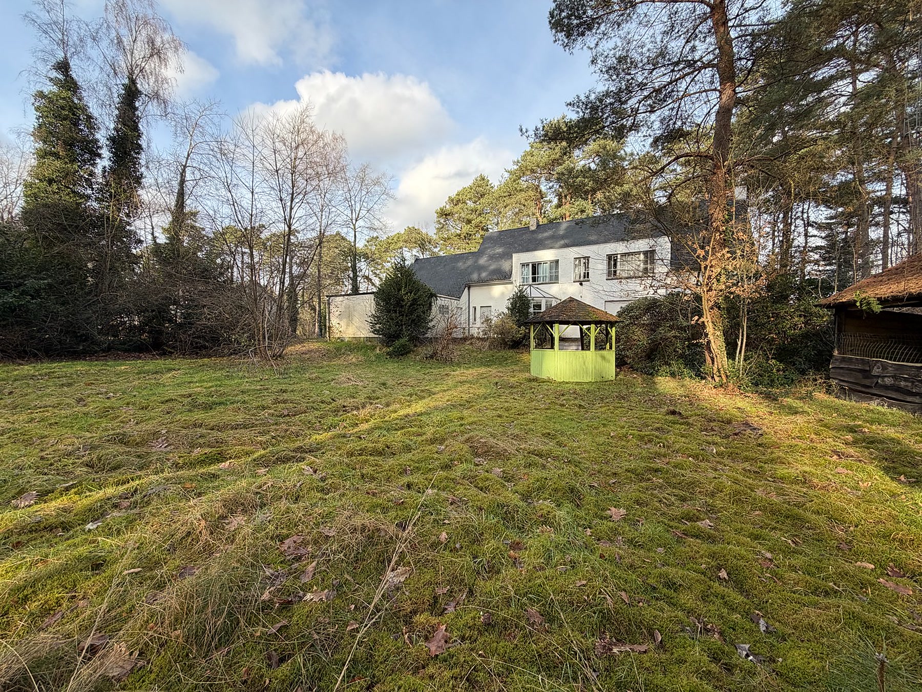 Tuin met open grasveld tussen de bomen